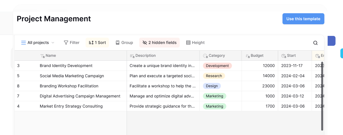 Project management template in spreadsheet view displaying project names, descriptions, categories, budgets, and start and end dates for easy task tracking.