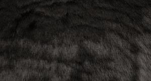 Luxury Bear Black