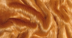 Amber Shaggy