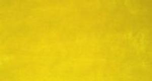 Bright Yellow Short Pile
