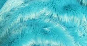Turquoise Shaggy