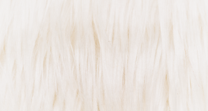 Ivory Monster