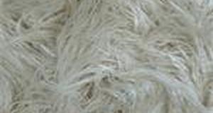 Latte Cream Curly Yak