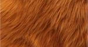 Rust Shaggy