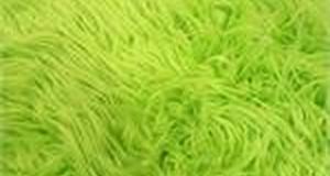 Lime Mongolian