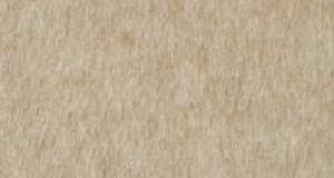 Honey Beige Short Teddy Bear