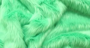 Mint Shaggy