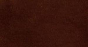 Coffee Brown Short Pile