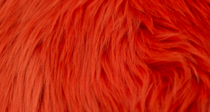 Burnt Orange Luxury Shag