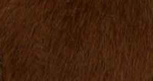 Medium Brown Teddy Bear