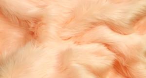 Sherbert Orange Shaggy