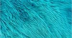 Turquoise Shaggy