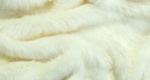 Ivory Short Shag