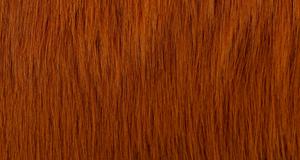 Rust Luxury Fox