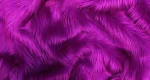 Grape Shaggy