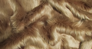 Cocoa Shaggy