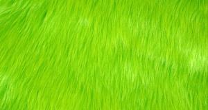 Punky Muppet Lime
