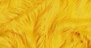 Yellow Gorilla