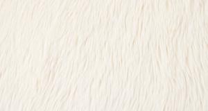 Dreamy Ivory