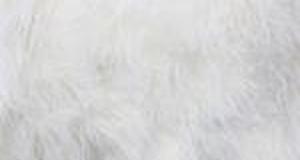 White Mongolian