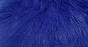 Royal Blue Luxury Shag
