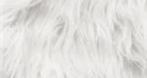 White Gorilla