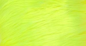 Punky Muppet Highlighter
