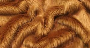 Saddle Shaggy