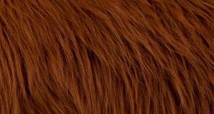 Brown Bear Luxury Shag