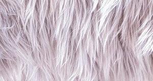 Muppet Shag Light Grey