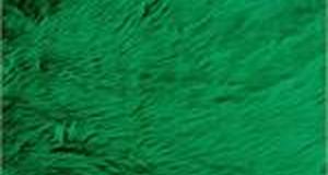 Kelly Green Shaggy