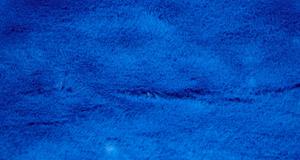 Royal Blue Beaver/Seal