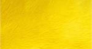 Yellow Shaggy