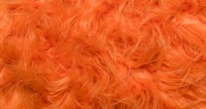 Party Monster Orange