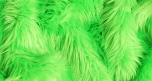 Spring Green Shaggy