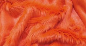 Tangerine Shaggy