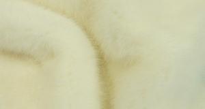 Stretch Ivory
