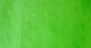 Lime Short Pile