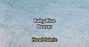Baby Blue Beaver (Super Seal)