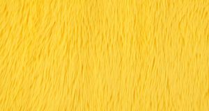 Dreamy Yellow