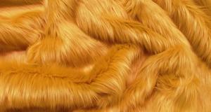 Gold Shaggy Long