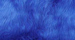 Royal Blue Luxury Shag