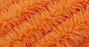 Dreamy Orange