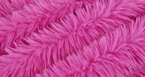 Dreamy Fuchsia