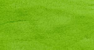 Lime Green Beaver/Seal