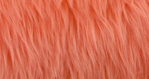 Coral Pink Luxury Shag