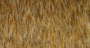 Nutmeg Cubby Bear