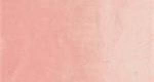 Pink Beaver