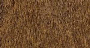 Grizzly Teddy Bear