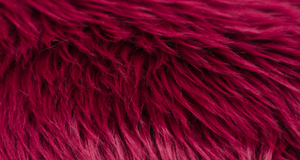 Wine Luxury Shag